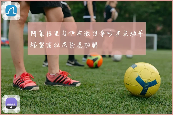 阿莱格里与伊布激烈争吵差点动手塔雷富拉尼紧急劝解