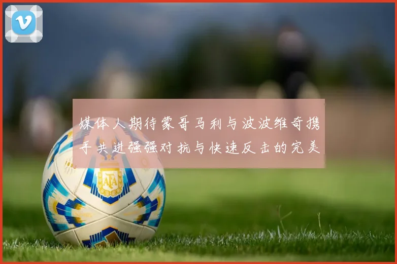 媒体人期待蒙哥马利与波波维奇携手共进强强对抗与快速反击的完美结合